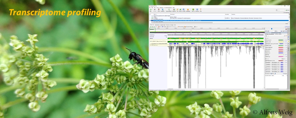 RNA-seq